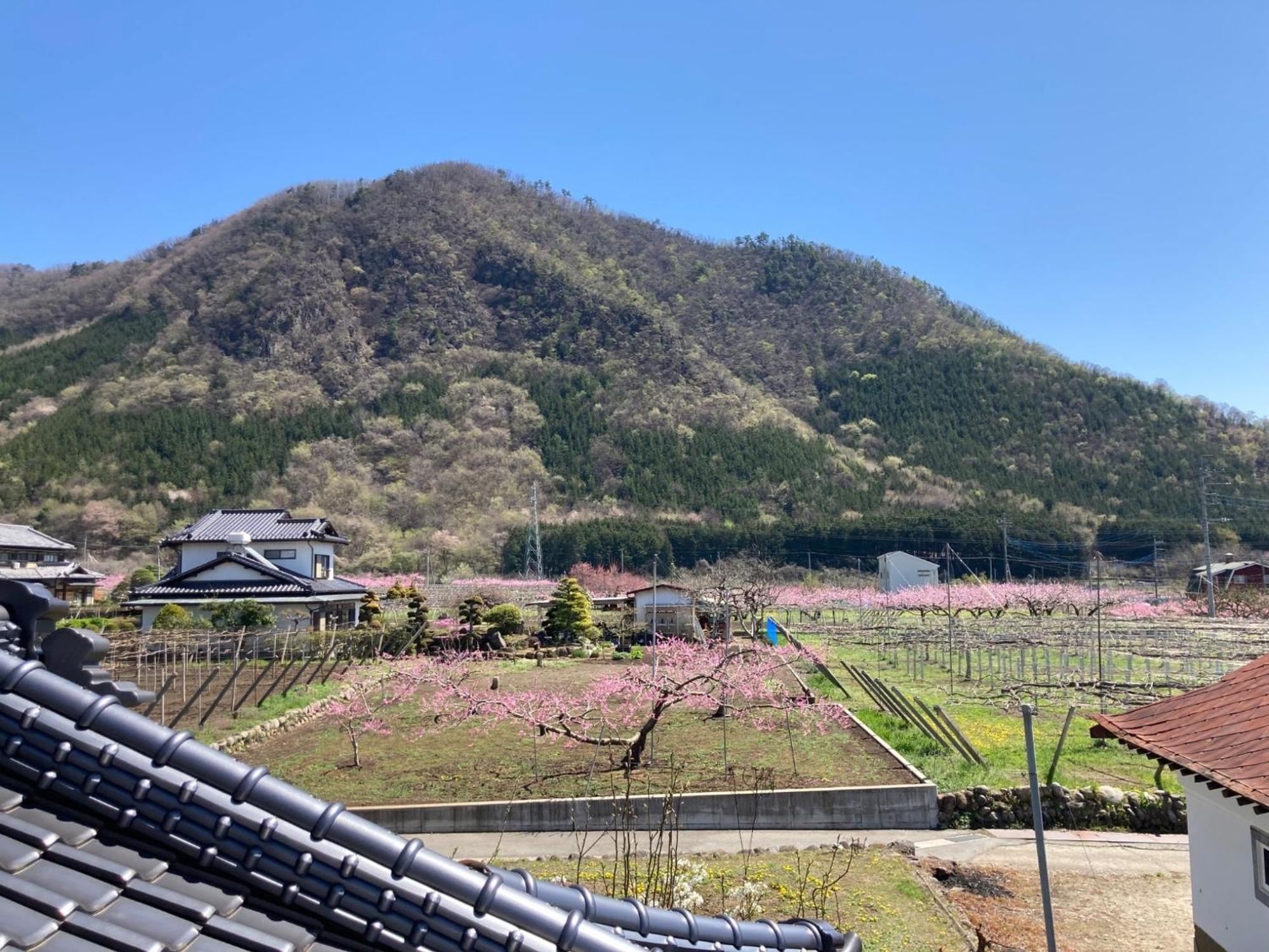 B&B Ladies Only Grape Mama Peach Room - Vacation Stay 11708 甲州 外观 照片